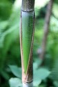 IMG_8002