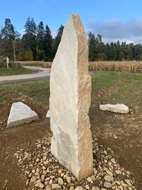 IMG_8464