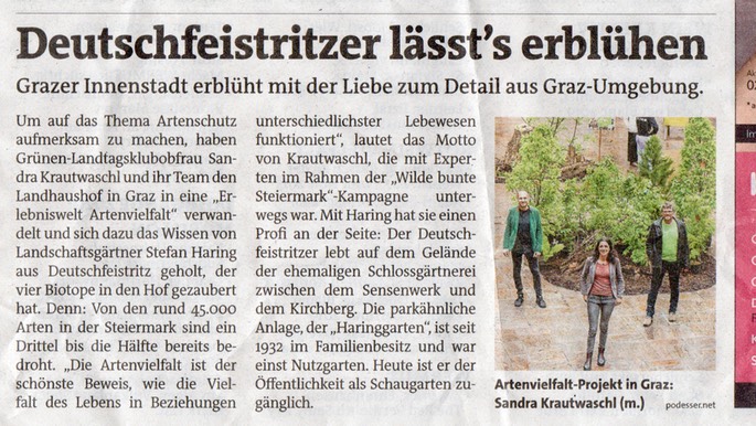 Pressestimmen  1